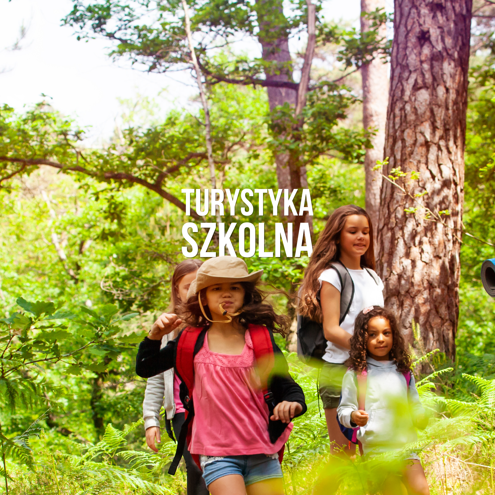 biuro podróży rajskie wrota turystyka szkolna, wycieczki szkolne